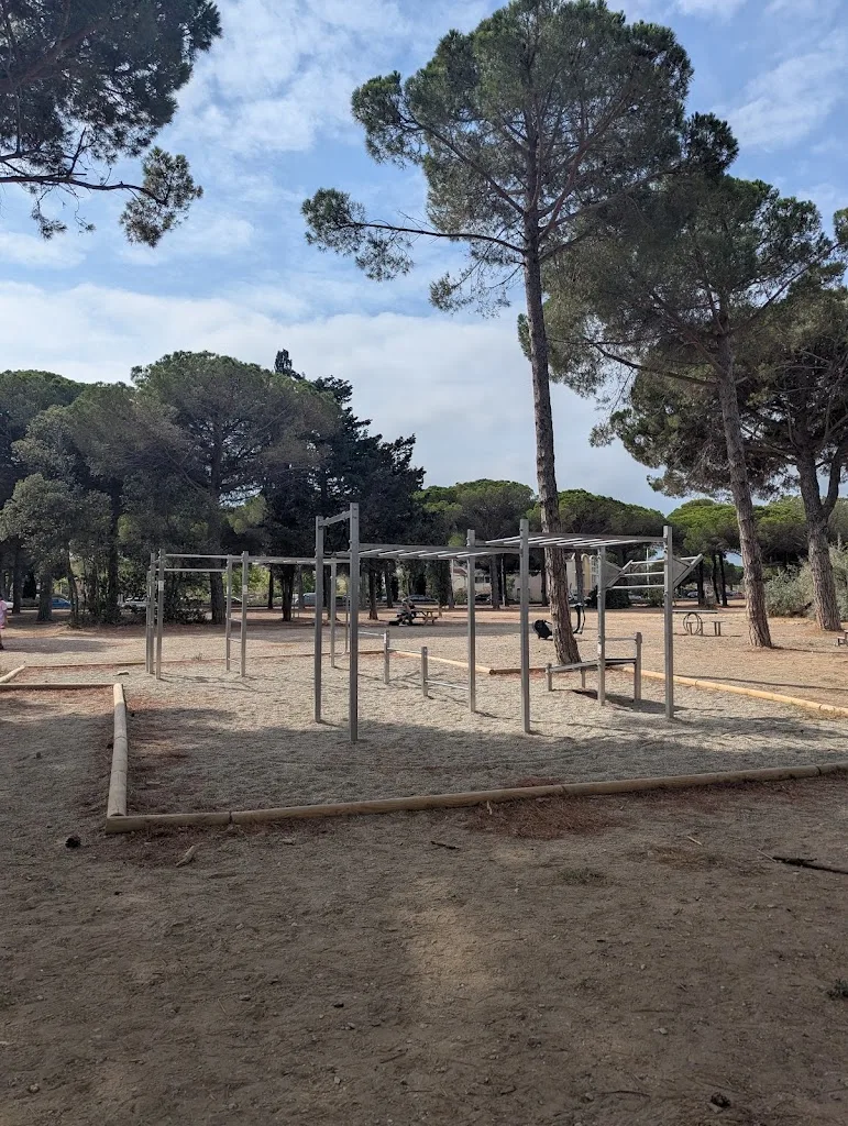 Calisthenics Park - photo 1