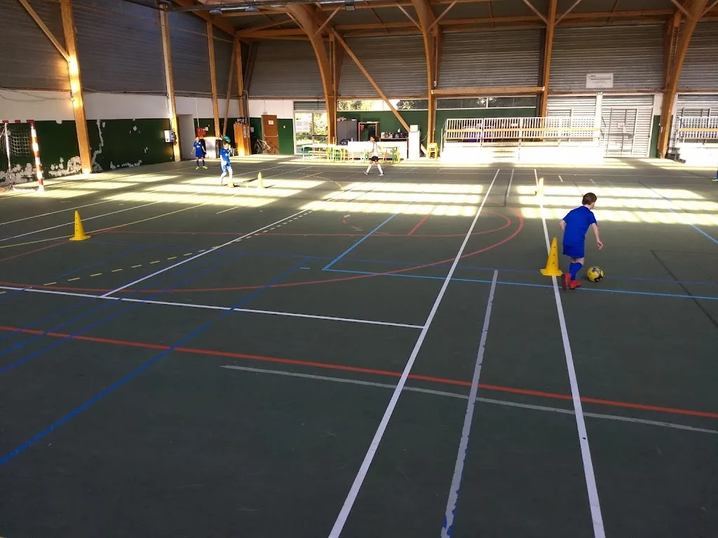 Dodgeball club 95