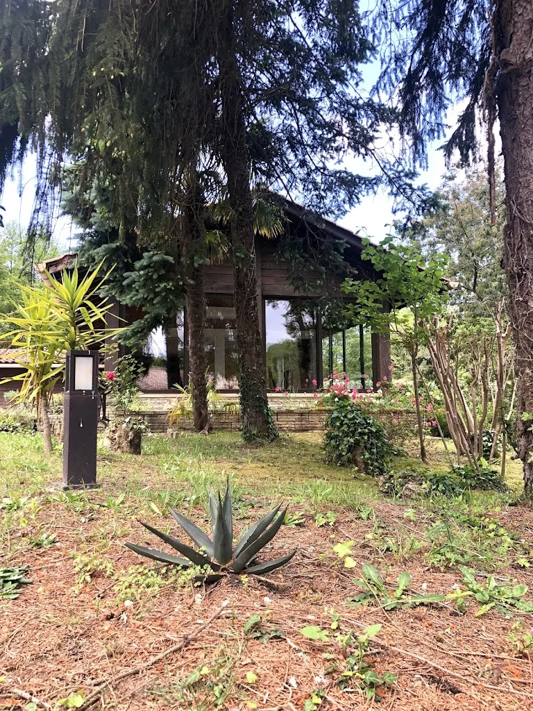 ​Le Petit Studio des Landes - photo 1