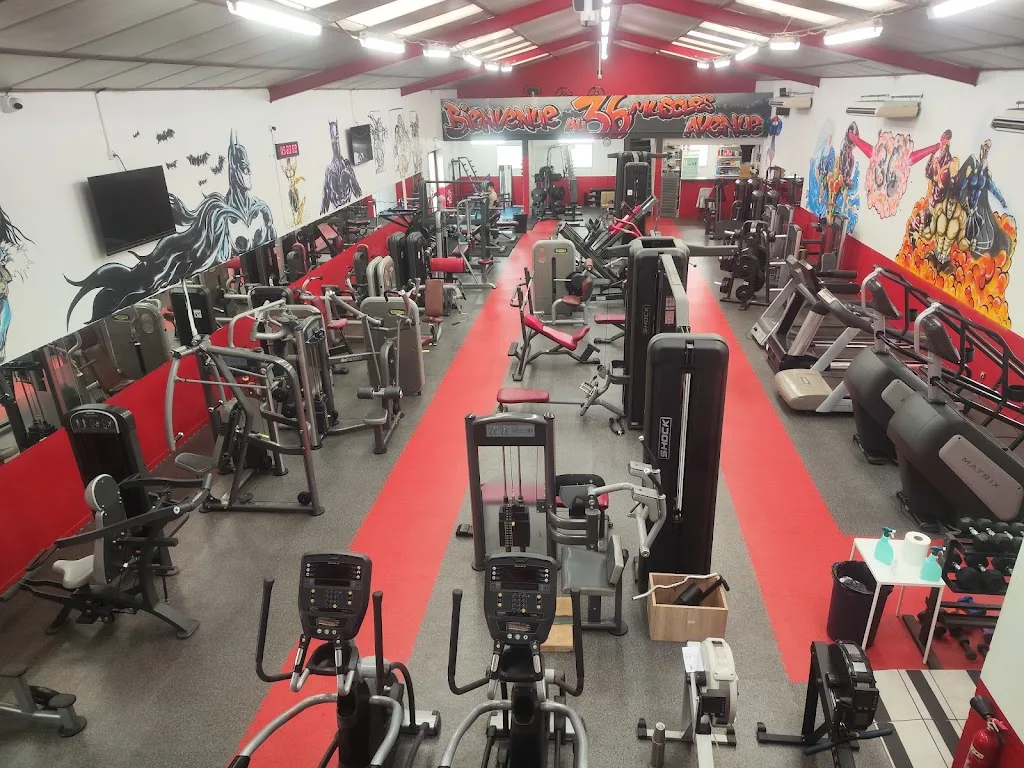 36 Muscles Avenue - photo 2