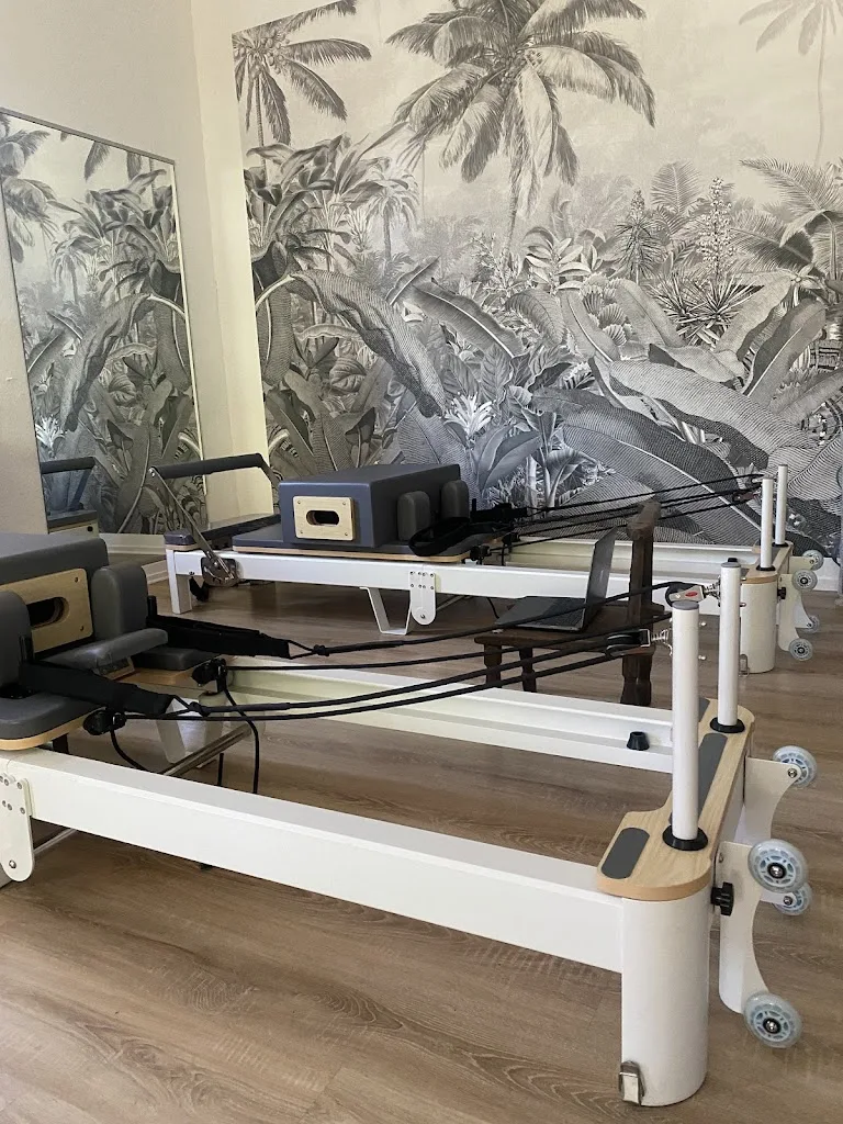 Studio Pilates - Reformer - Cours Collectifs & particulier - Wissembourg - photo 1