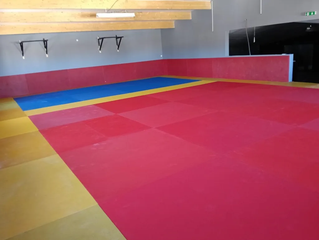 Krav-maga / mma / frontignan / full-contact / kick boxing / jiu-jitsu / grappling - photo 1