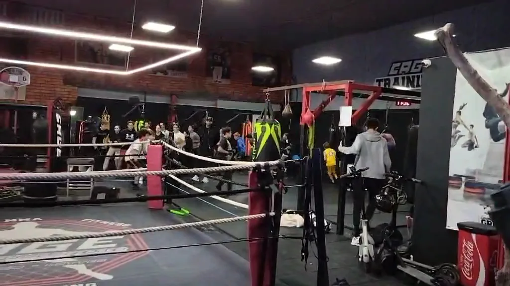 Cage Training - photo 2