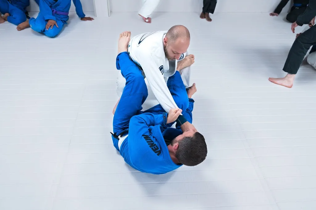 Overall jiu-jitsu - photo 2
