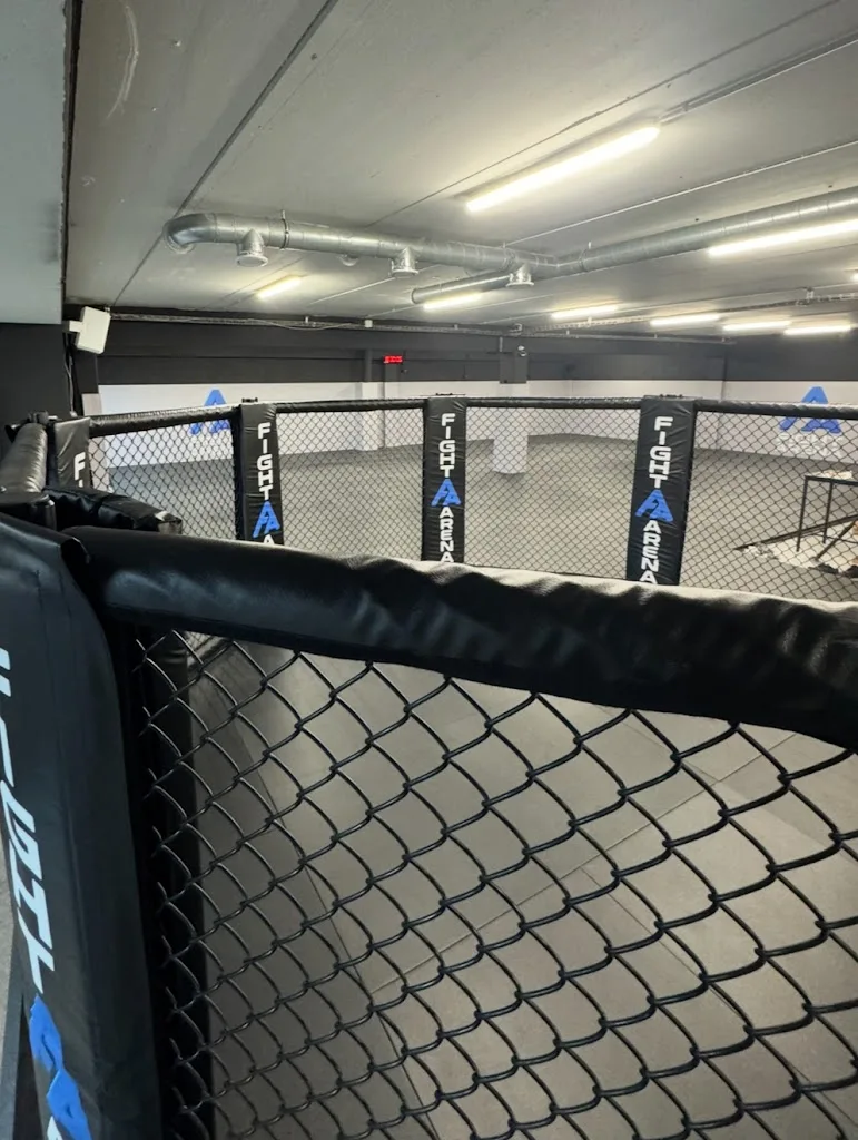 Fight Arena - photo 1