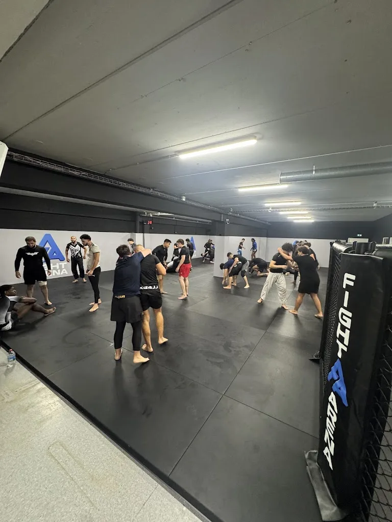 Fight Arena - photo 2