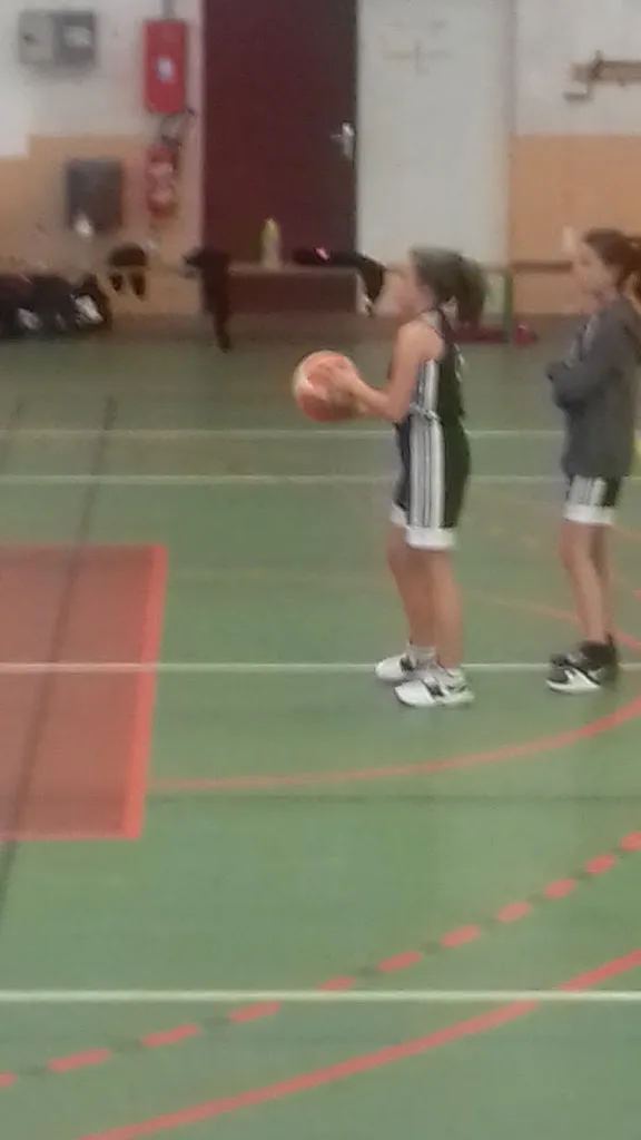 Aubry Chaudron Basket - photo 1