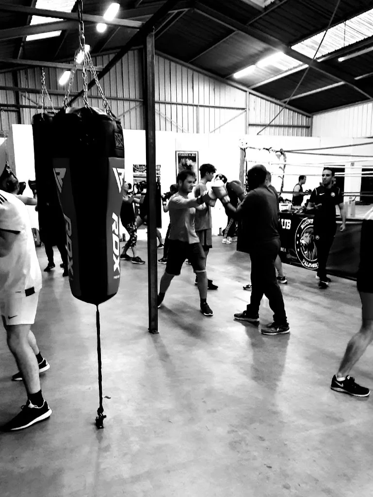 Palevski Boxing - photo 1
