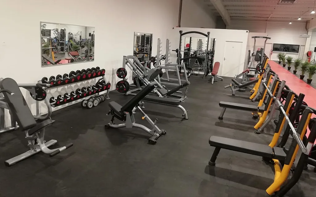 My Big Bang Dinan - Sport-Santé et Electrostimulation musculaire - photo 2