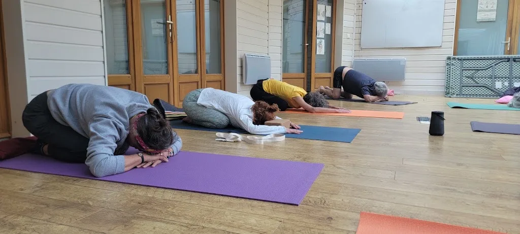 Cours Hatha Yoga à Echillais - Correction Posturale - photo 1