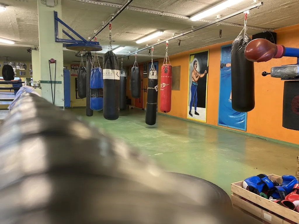 Savatitude - Club de boxe à Valence - photo 1