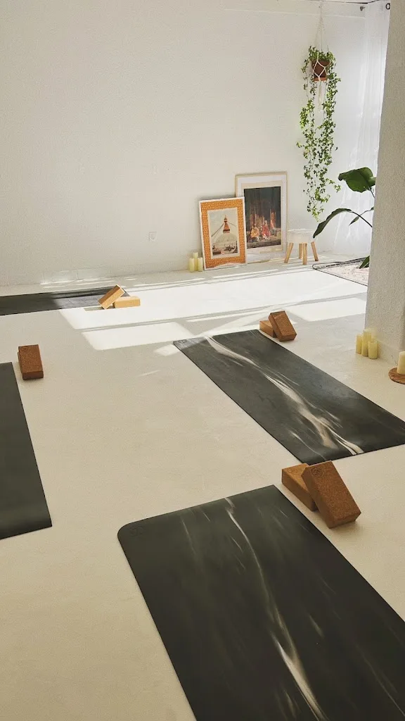 Gymnase Cordier - photo 3