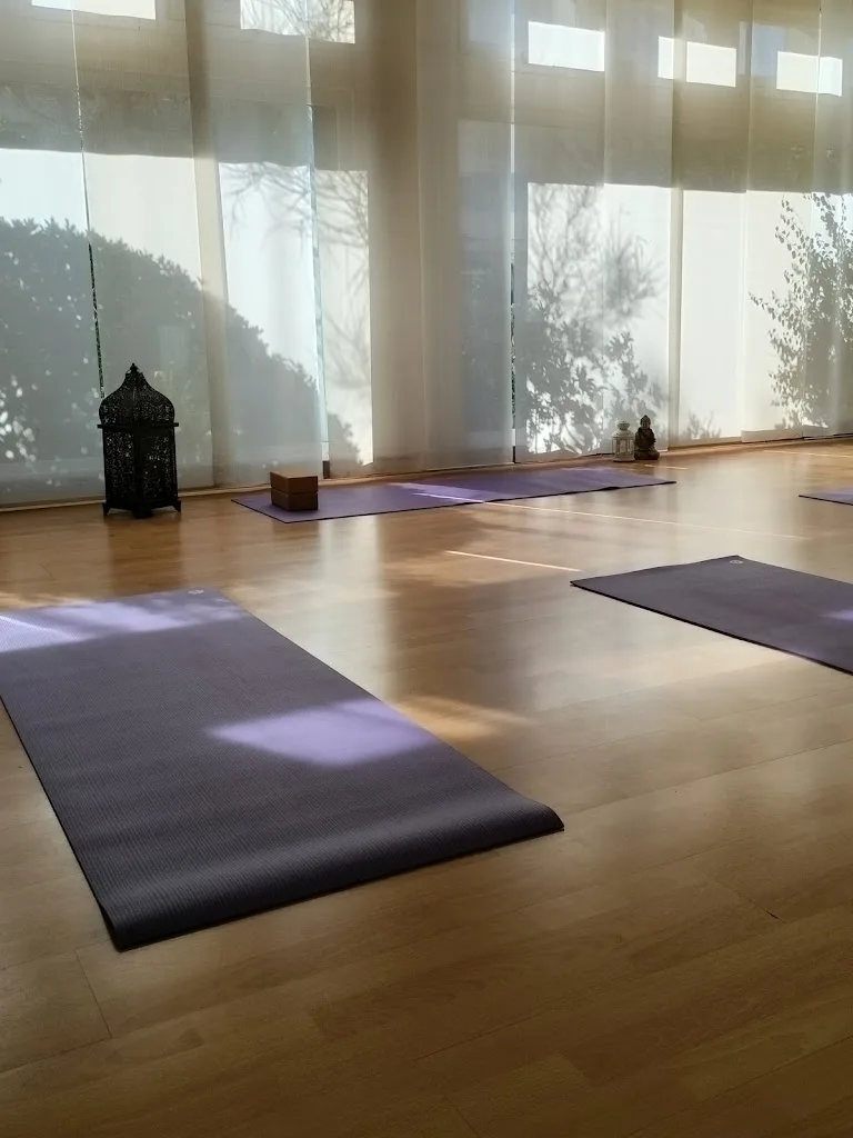 Shakti Yoga La Baule - photo 1