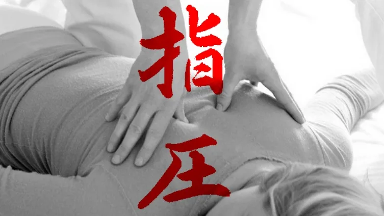 Nippon-Zen - photo 1