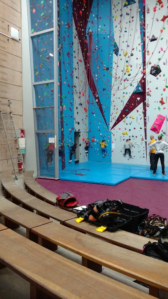Gymnase de la Plaine - photo 2