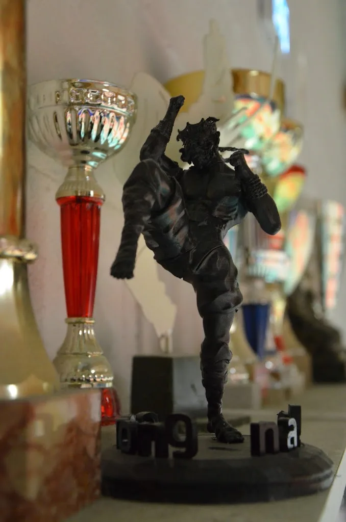 Barong Naga Muay Thaï - photo 1