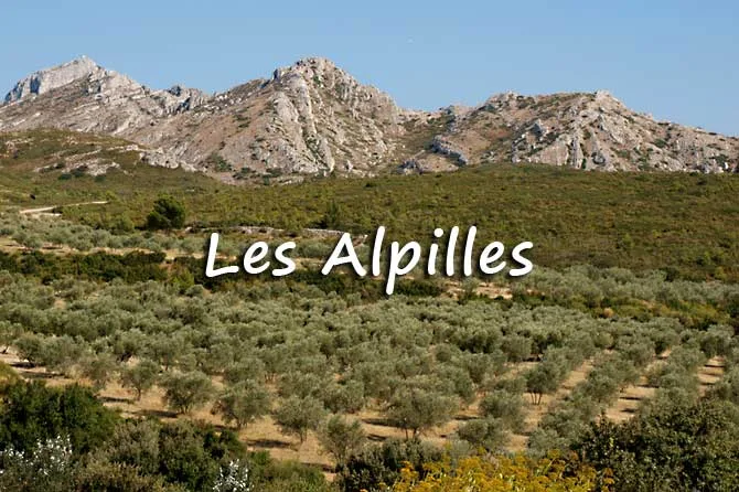 Krav Maga Alpilles - photo 1