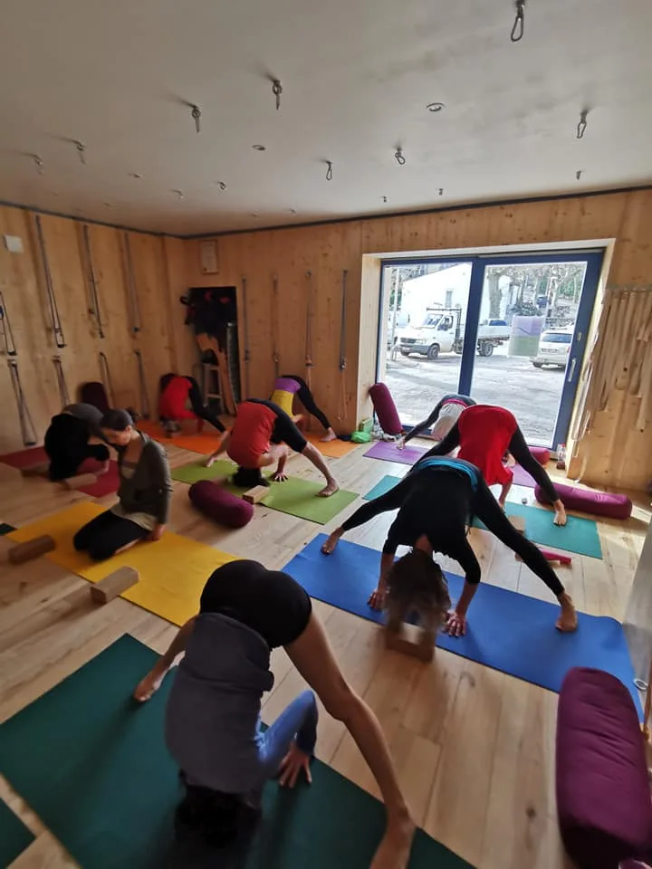 Centre de yoga Iyengar de Joyeuse - photo 1