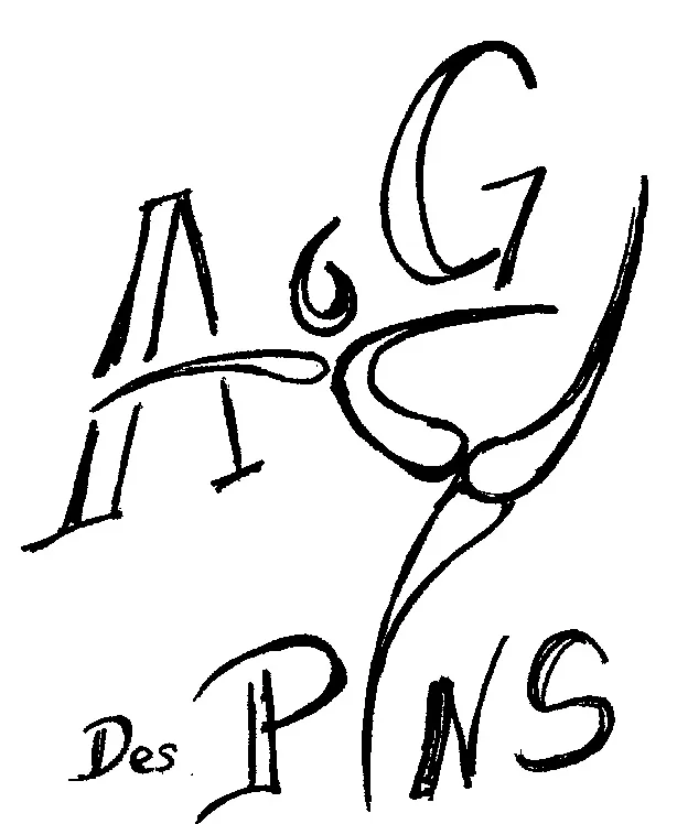 Avenir Gymnique des Pins - photo 1