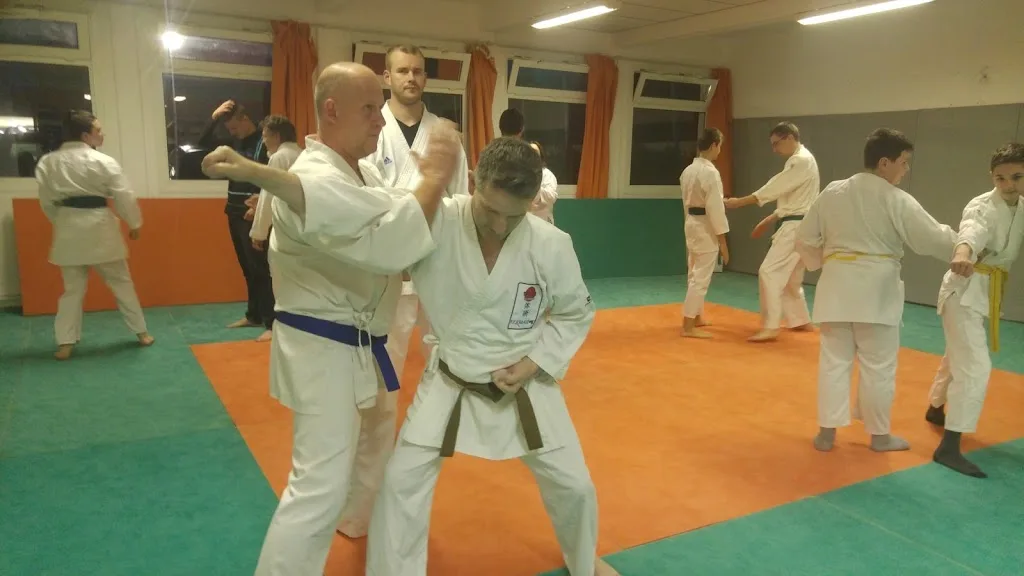 KARATÉ EPERLECQUES - Taï Jitsu, Full Contact & Qi Gong (Dojo Rémy PETIT) - photo 2