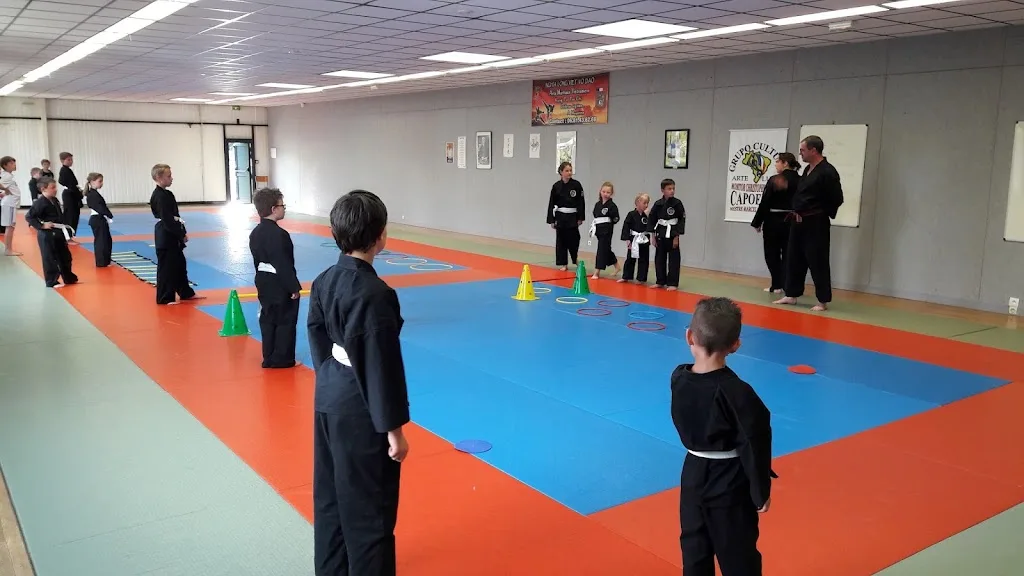 Association Nghia Long Viet Vo Dao Mayenne (NLVVDM) - photo 1