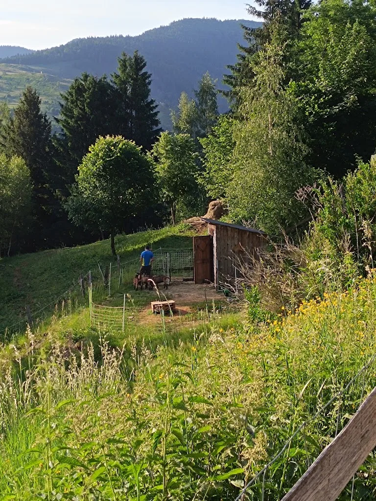Yoganesse - photo 1