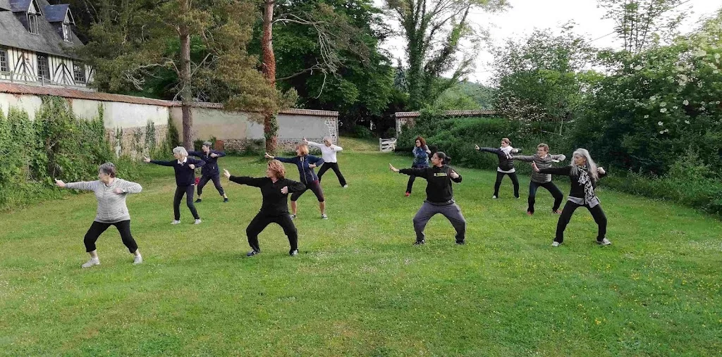 Cours de Qi gong et de taichi à Noisy-le-sec (Arts & Qi gong) - photo 1
