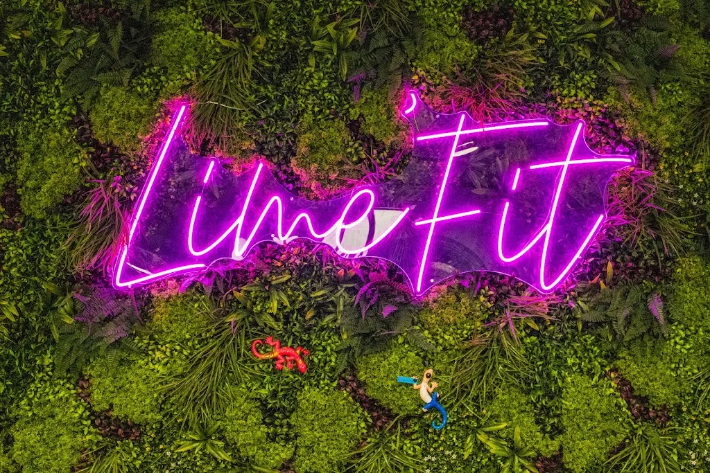 LIME FIT - photo 4