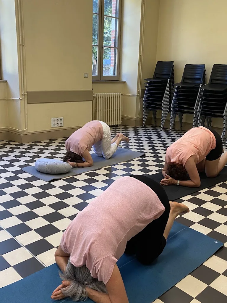 Les petits pas, un chemin vers soi. Association de Yoga, de marche Afghane et de cohérence cardiaque - photo 1