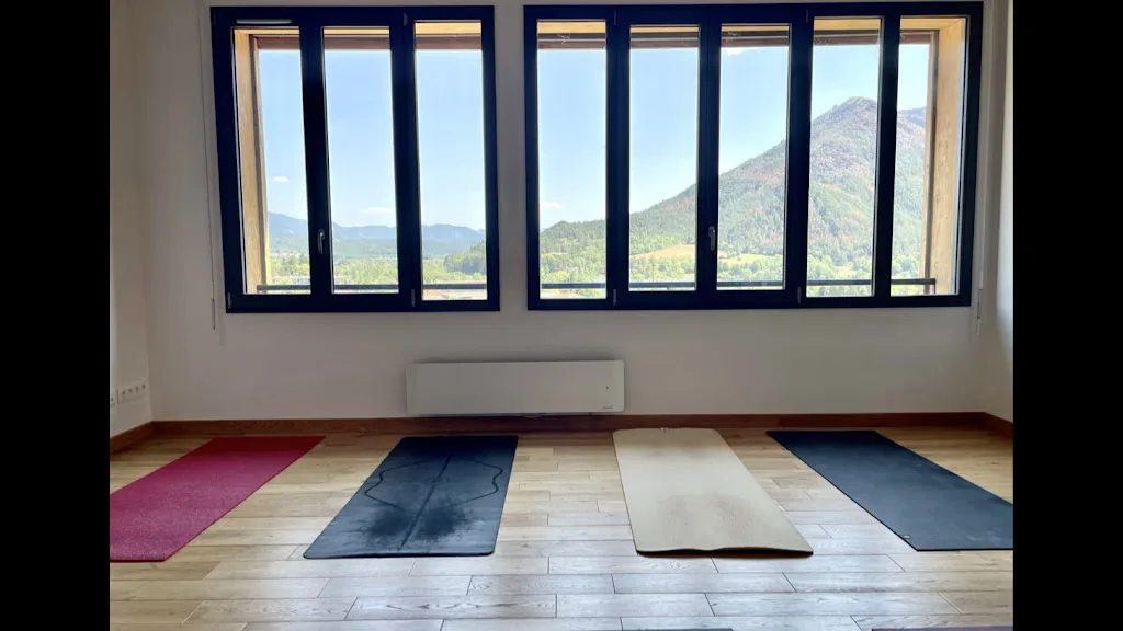 Drome Yoga Shala - photo 2