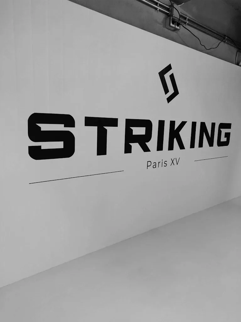 Striking Paris XV - photo 2