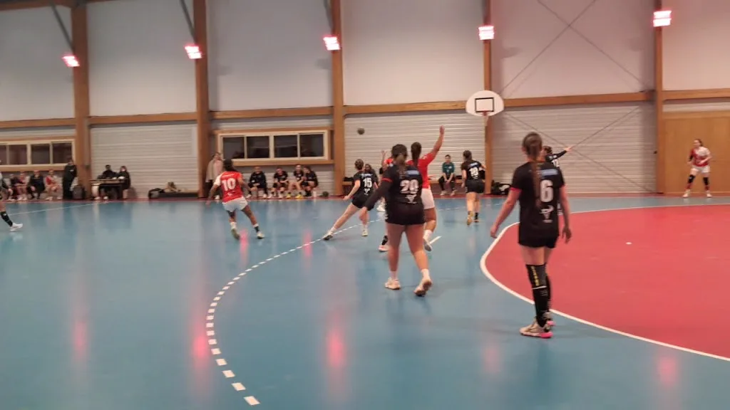 Halle des Sports Allison Pineau