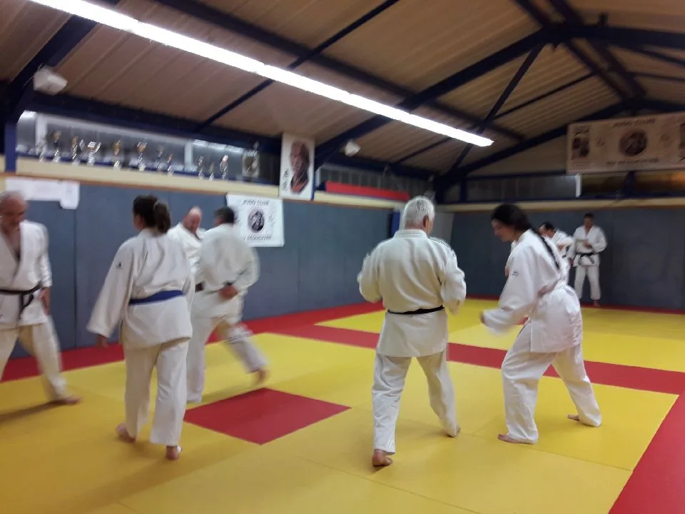 Dojo Départemental Thierry Fabriès - photo 3