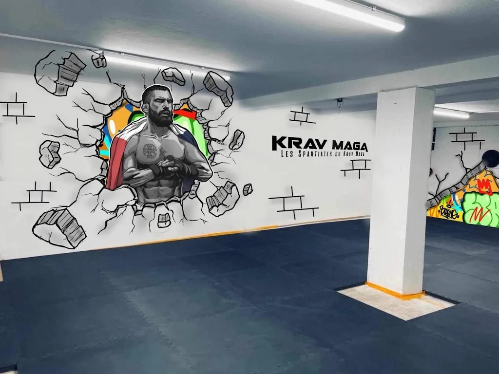 MUAY THAI ET ARTS MARTIAUX MIXES SAINT ANDREEN