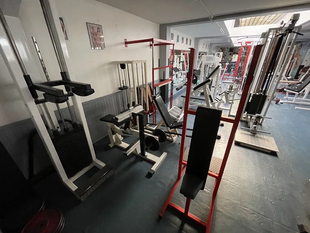 Gym Alpha - Gérard Peyre.et son fils Jérôme - photo 2