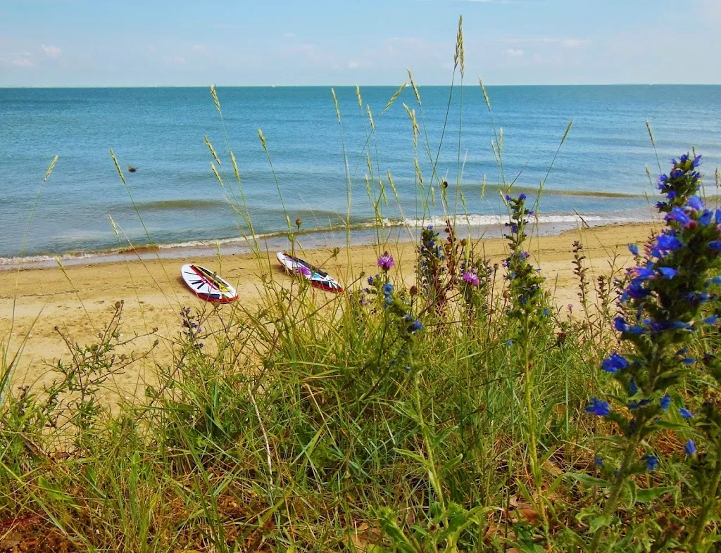 Ecole de stand up paddle SUP Evasion - Ile de Ré - photo 1