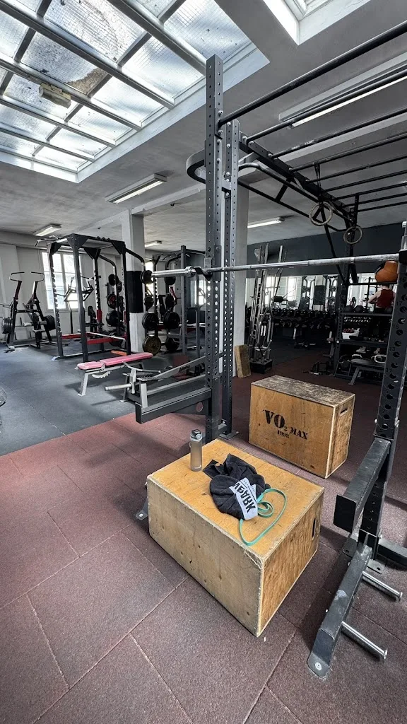 Vo2Max Evolution - photo 1