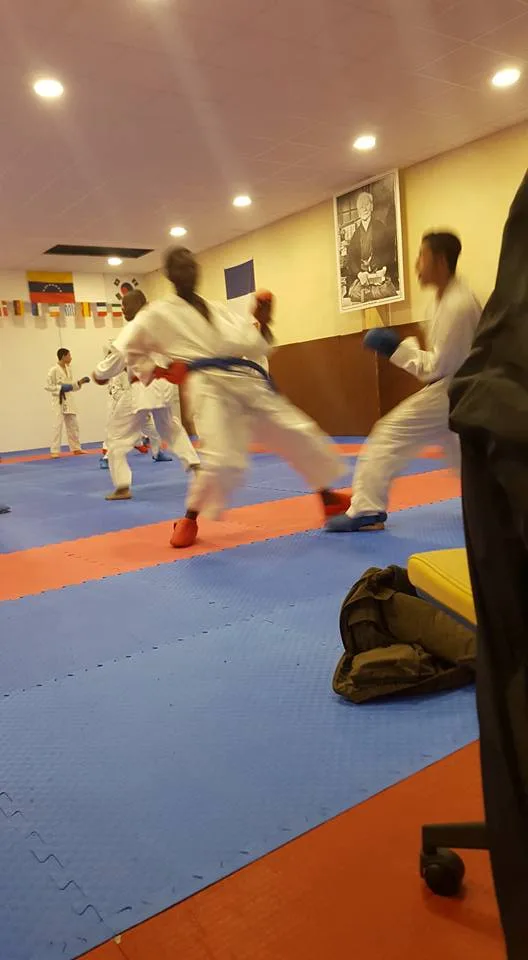 ACADEMIE ABLISIENNE DE SPORTS DE CONTACT - photo 2
