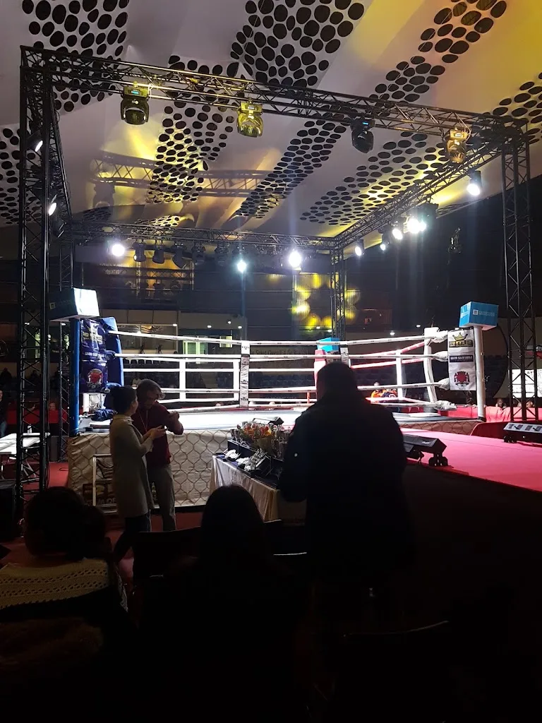 RM Boxing - photo 1