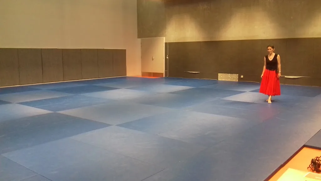 Gymnase du Bras d'Or - photo 2
