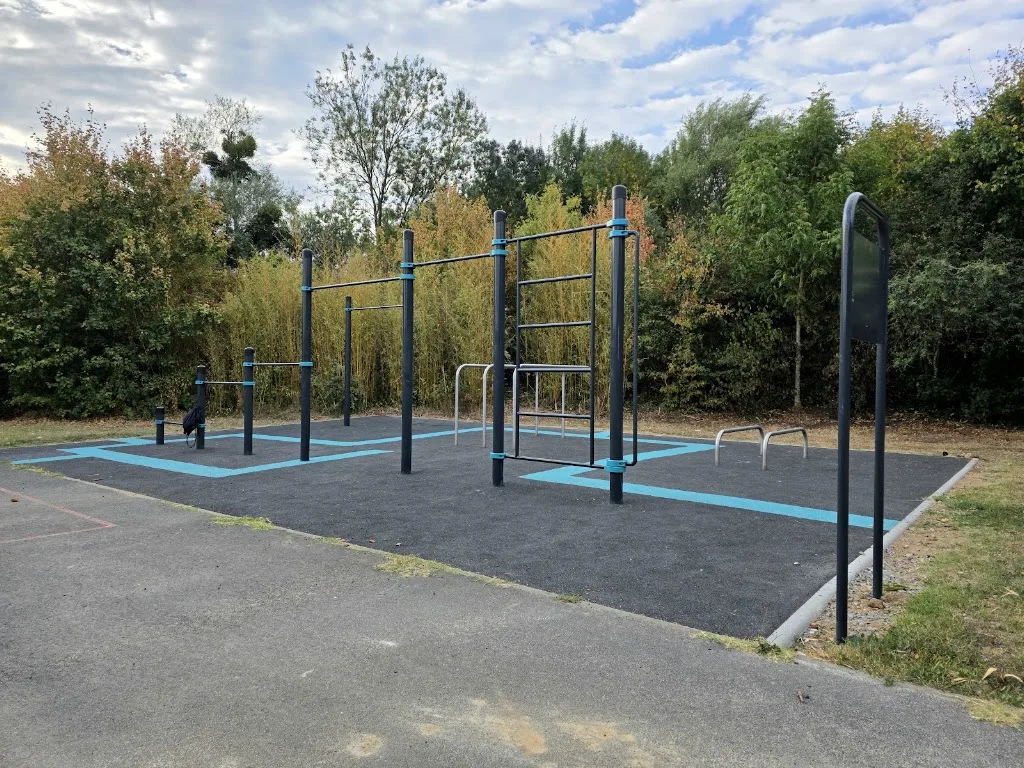 Calisthenics workout - photo 1