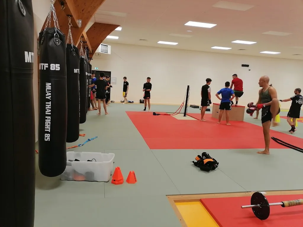 Team Section Boxe Fédéral Yonnaise - photo 3