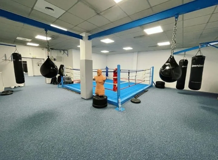 HARIBOW BOXING - photo 3