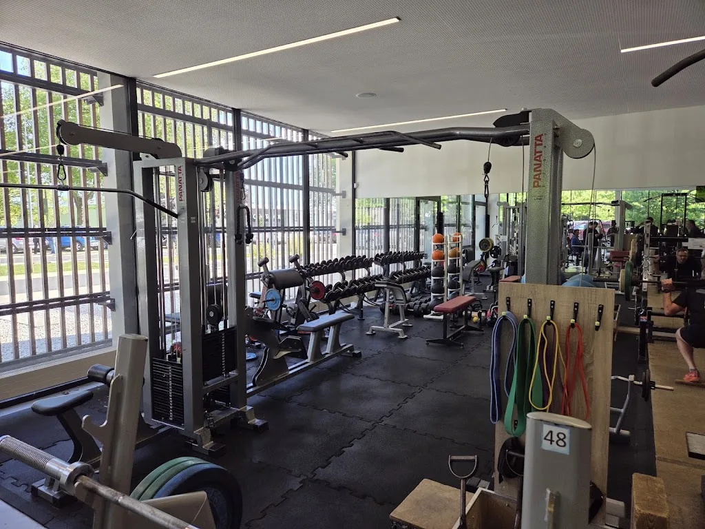 Bayeux Body Fit - photo 2