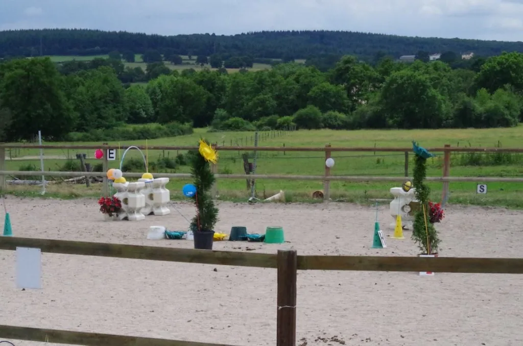 CENTRE EQUESTRE ELEVAGE FRENCHY