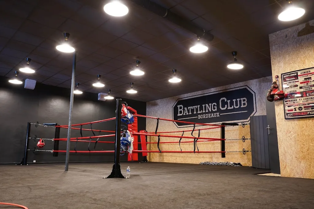 Battling Club Bordeaux - photo 1