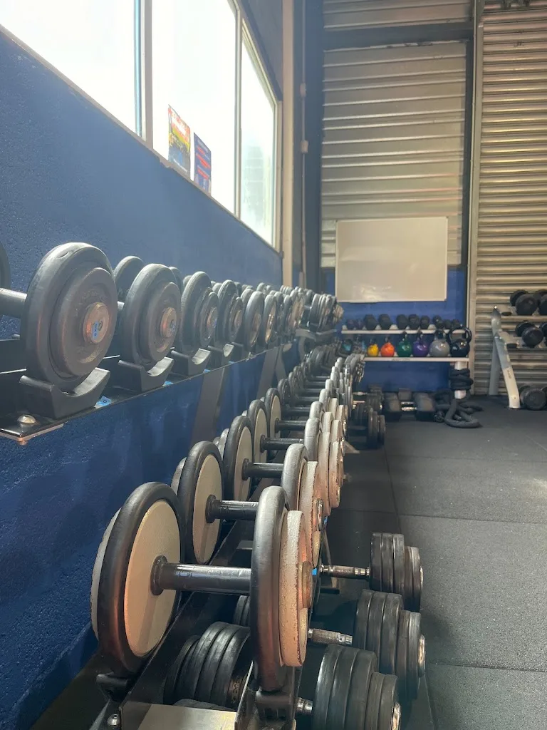 Salle de sport et centre électrostimulation, EMS - Freedom Fitness Saint Egrève - photo 1