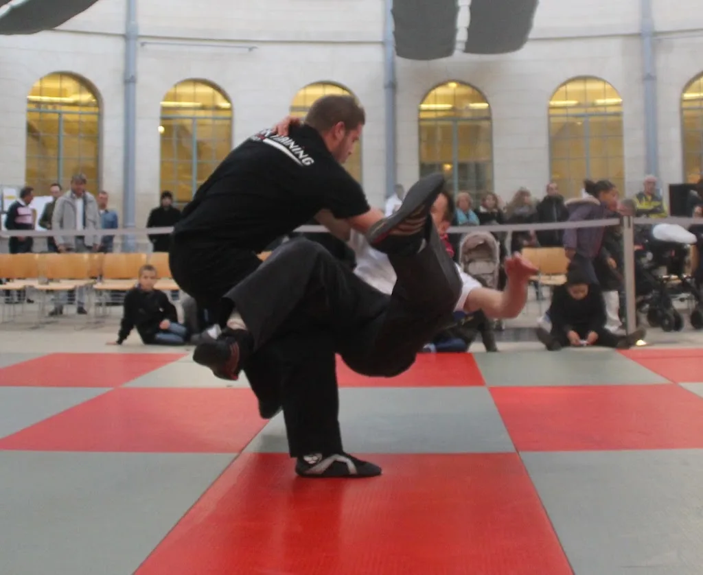 Damigny MMA - photo 1
