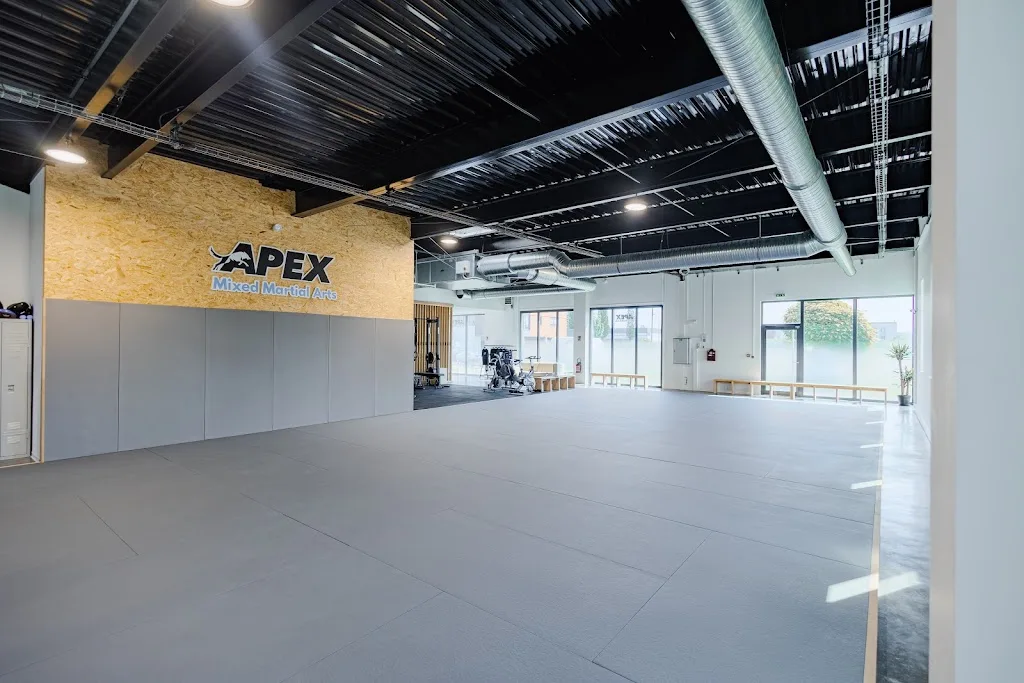 Apex Mixed Martial Arts - photo 1