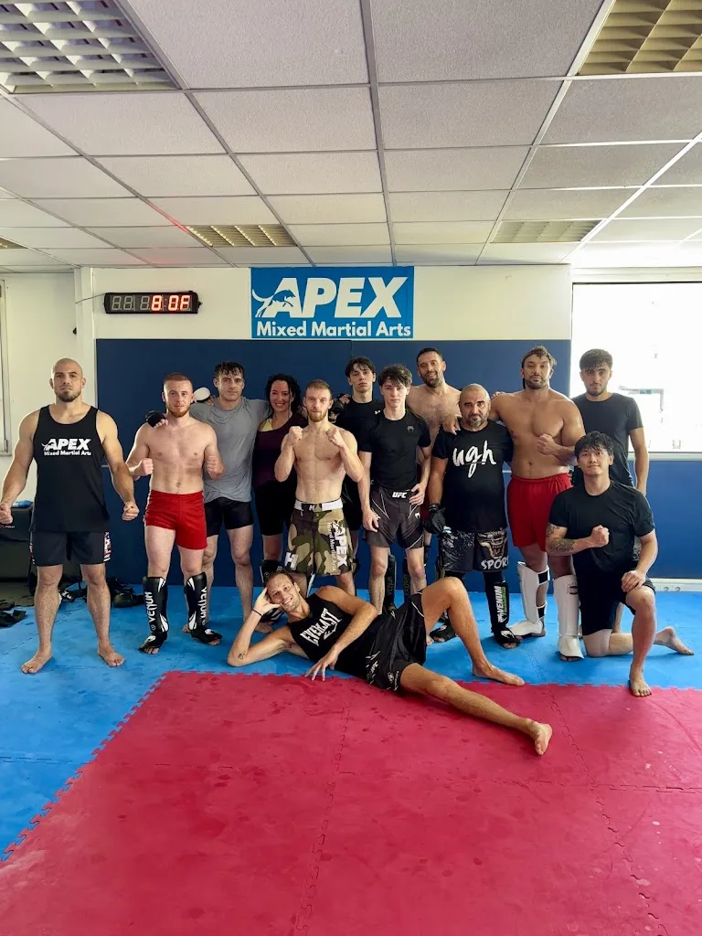 Apex Mixed Martial Arts - photo 2
